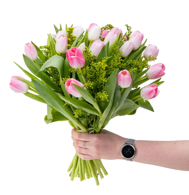 Kytice růžových tulipánů